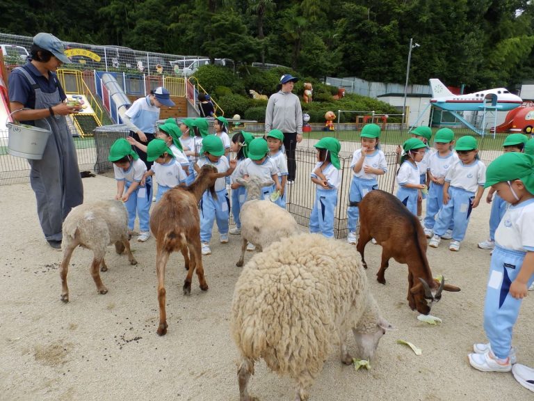 こども動物園　➉　まつ組