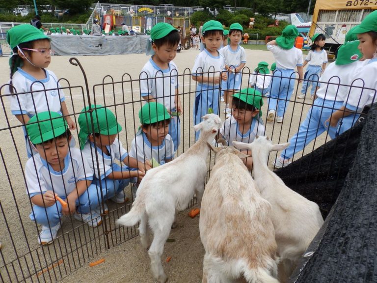 こども動物園　⑫　まつ組