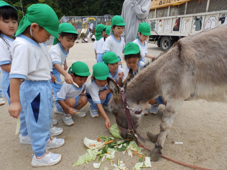 こども動物園　⑮　たけ組