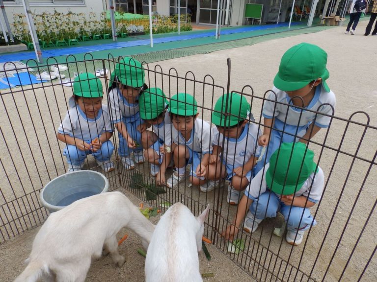 こども動物園　⑯　たけ組