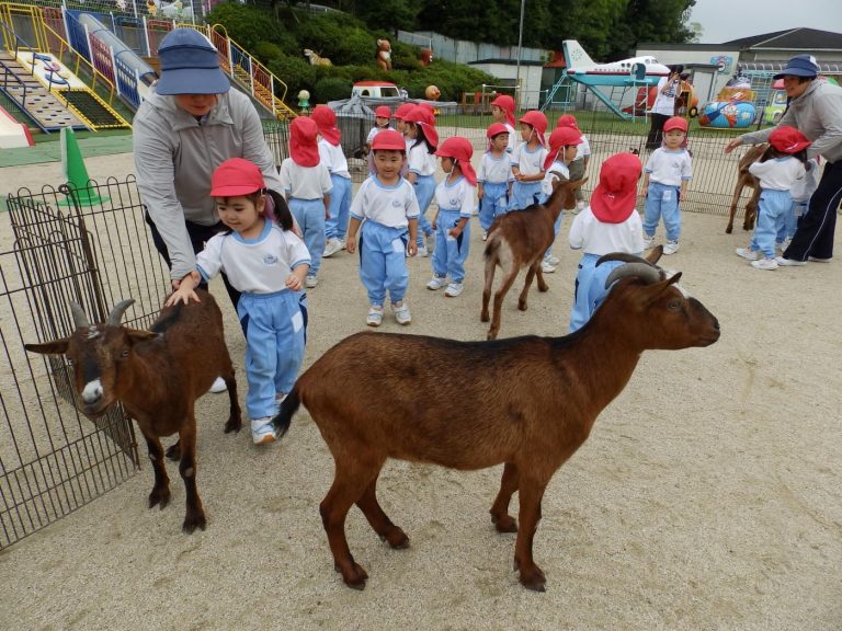 こども動物園　⑰　うめ組