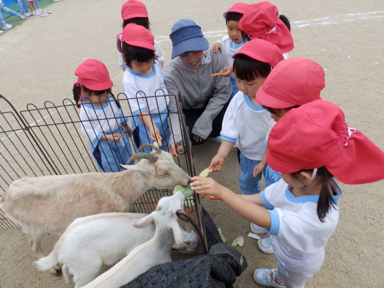 こども動物園　㉔　さくら組