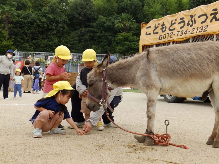 こども動物園　㉕　もも組