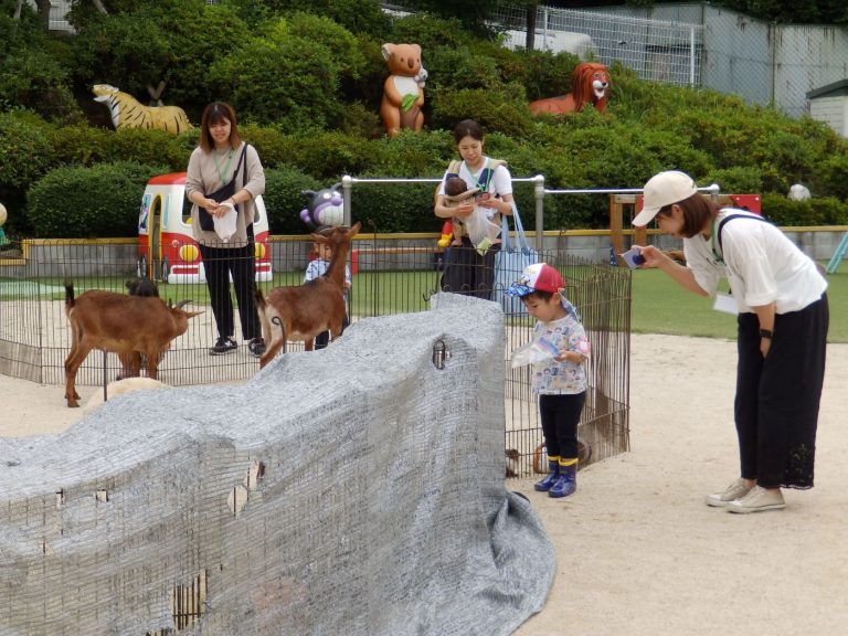 こども動物園　㉗未就園親子教室