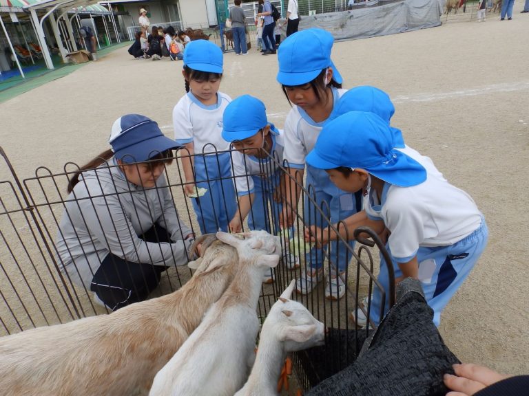 こども動物園　③　すみれ組　