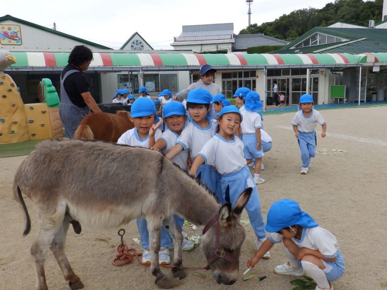 こども動物園　④　すみれ組　