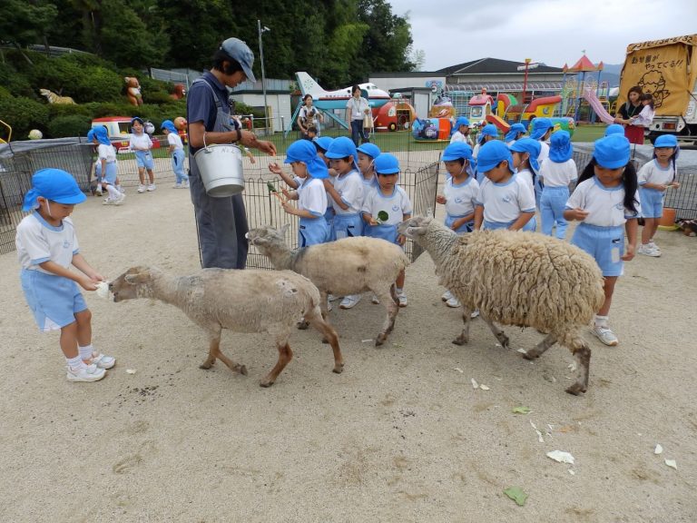 こども動物園　⑥　れんげ組