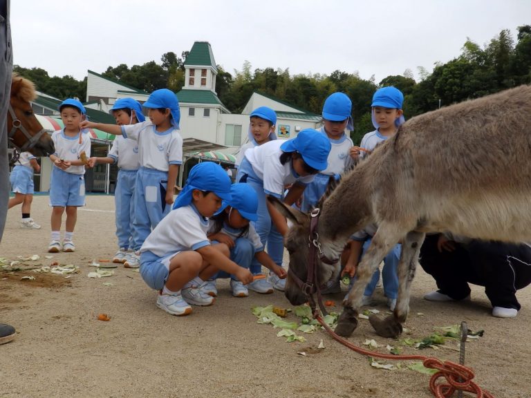 こども動物園　⑦　れんげ組