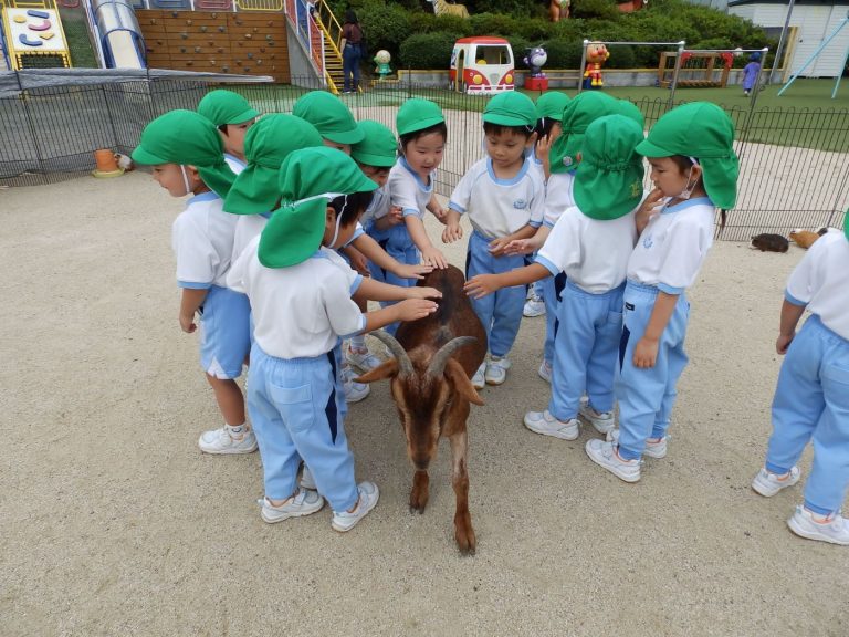 こども動物園　⑨　まつ組