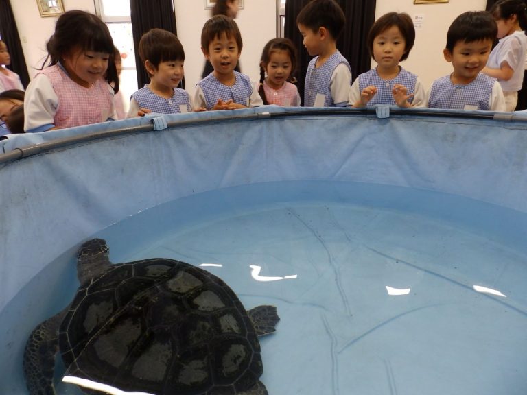 巡回水族館　➉　たけ組