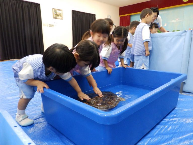 巡回水族館　⑬　うめ組