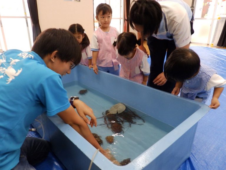 巡回水族館　⑭　うめ組