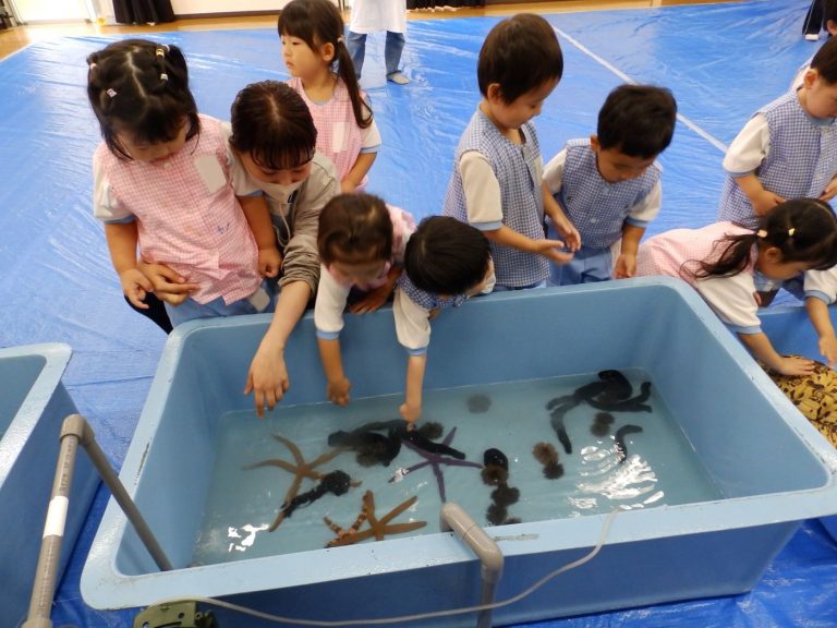 巡回水族館　⑯　さくら組