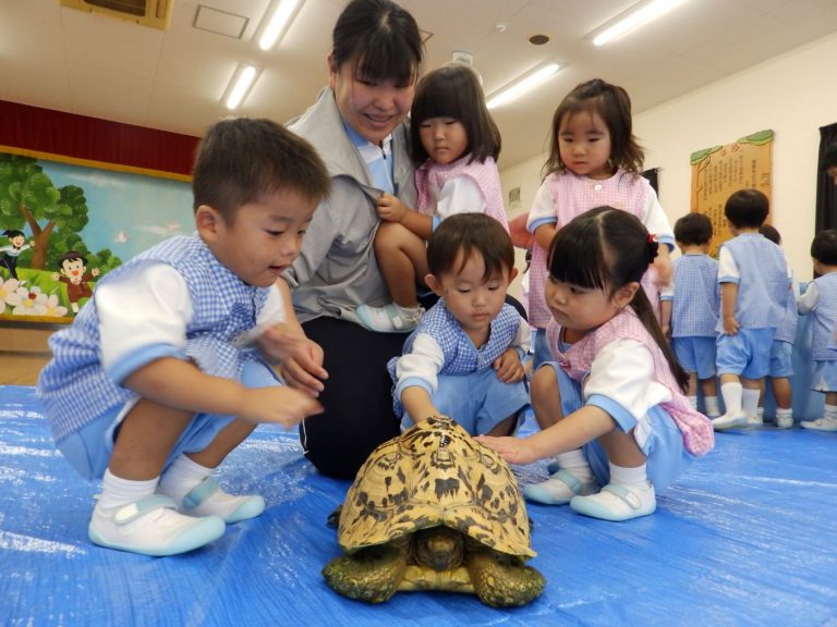 巡回水族館　⑲　もも組