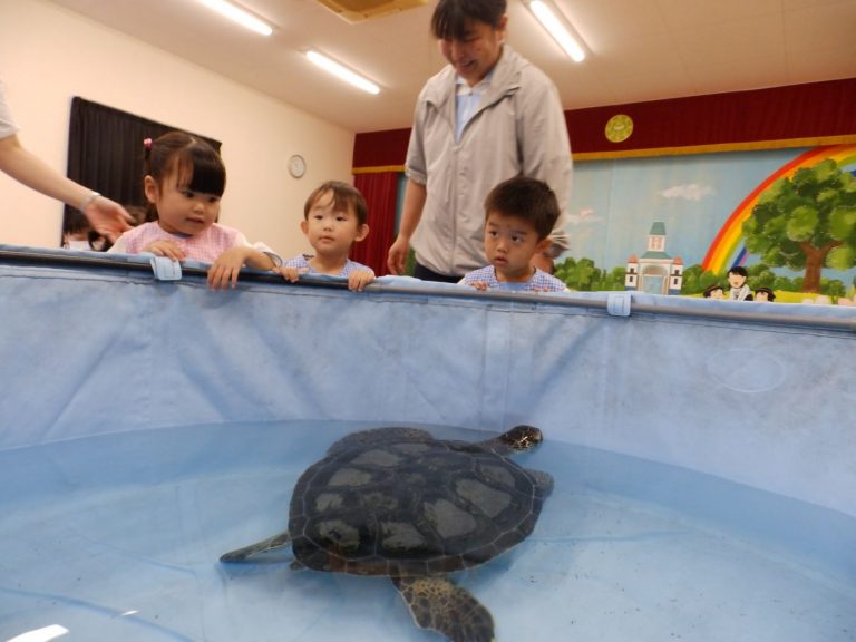 巡回水族館　⑳　もも組