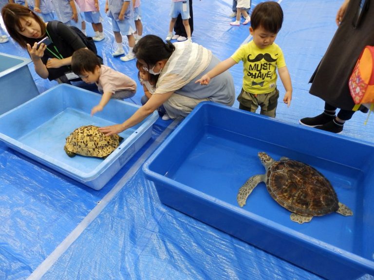 巡回水族館　㉑　ふたば教室