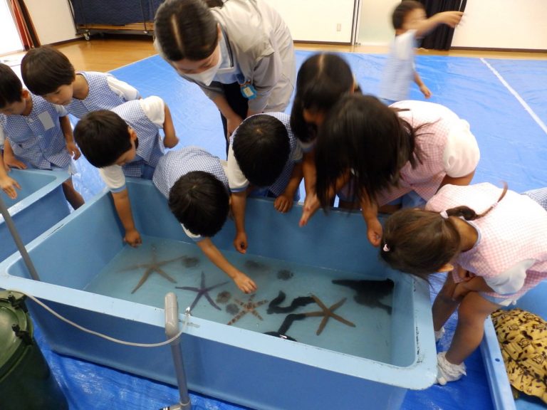 巡回水族館　⑤　れんげ組