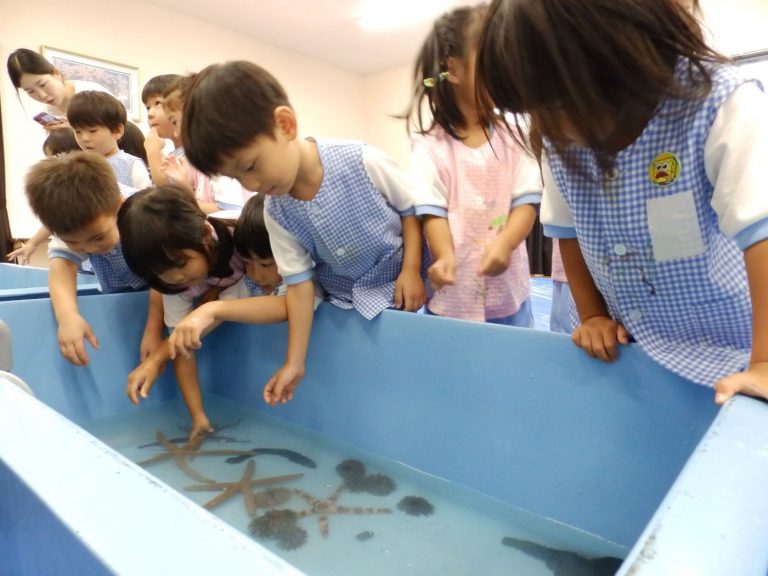 巡回水族館　⑦　まつ組