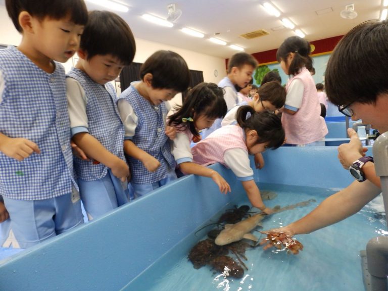 巡回水族館　⑧　まつ組