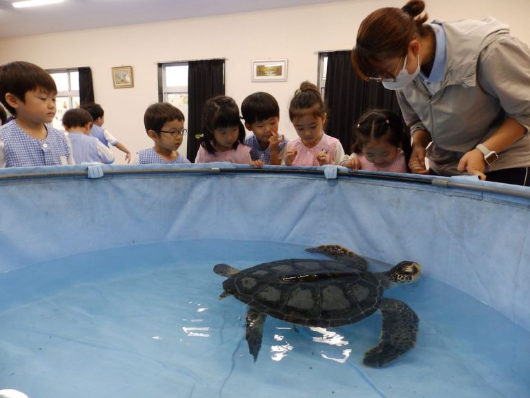 巡回水族館　⑨　まつ組