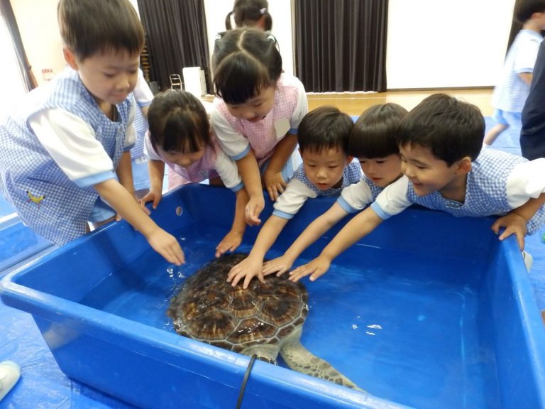 巡回水族館　⑪　たけ組