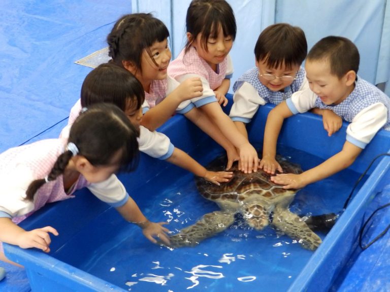巡回水族館　⑮　まつ組