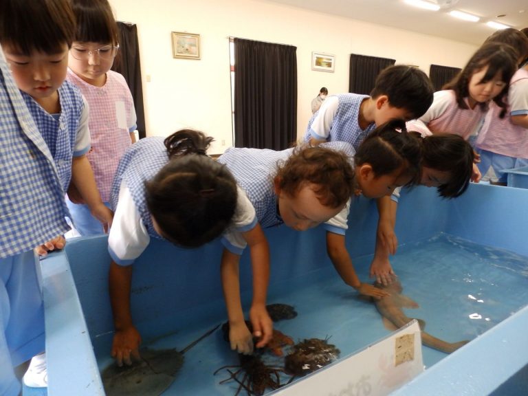 巡回水族館　⑯　れんげ組