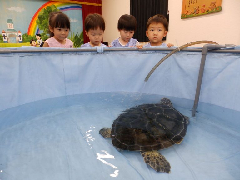 巡回水族館　⑦　もも組