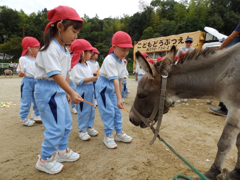 こども動物園　⑪　まつ組
