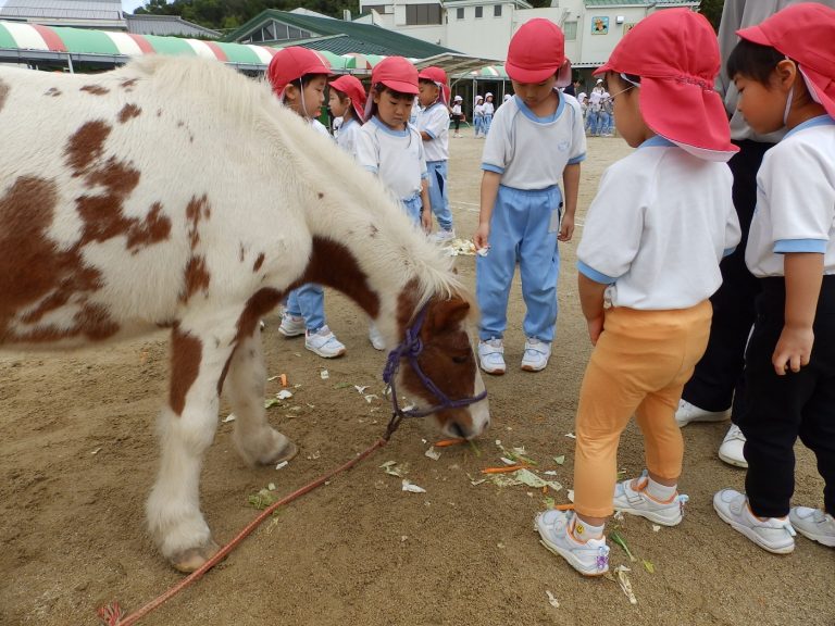 こども動物園　⑫　まつ組
