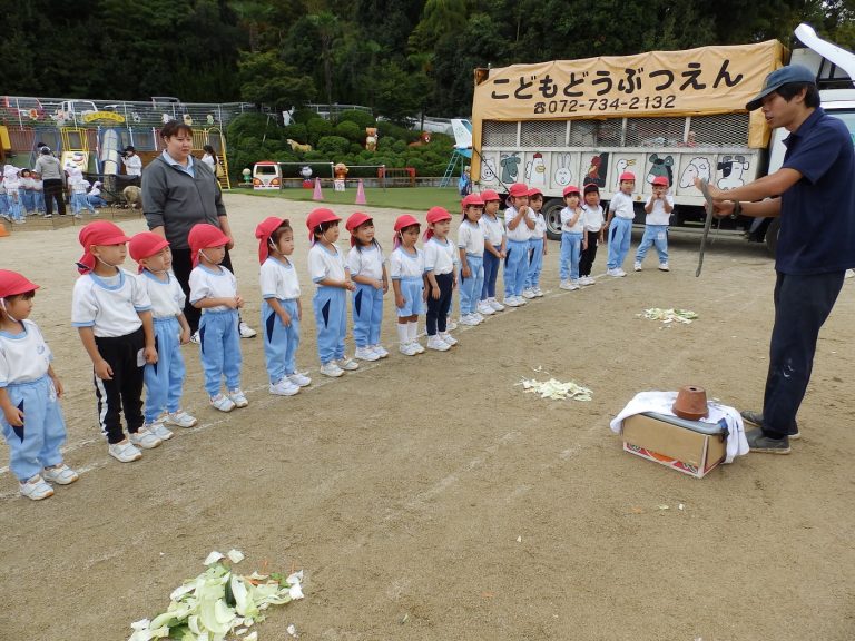こども動物園　⑬　まつ組