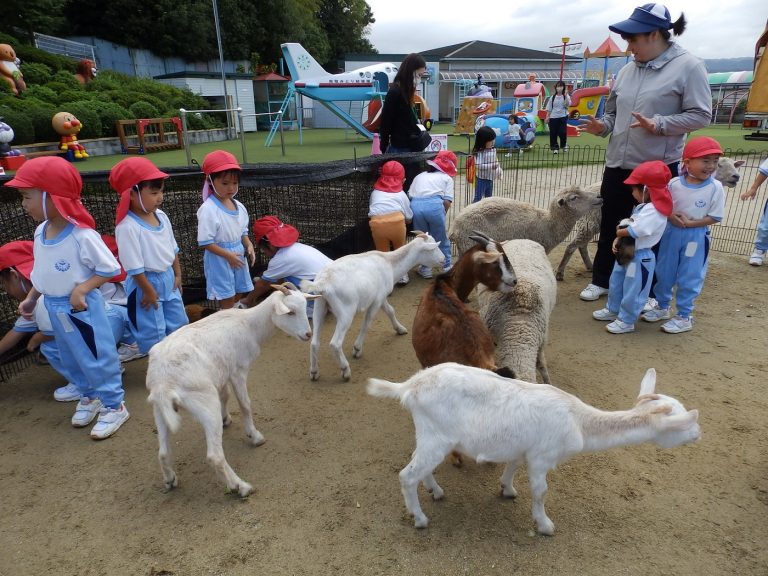 こども動物園　⑮　まつ組