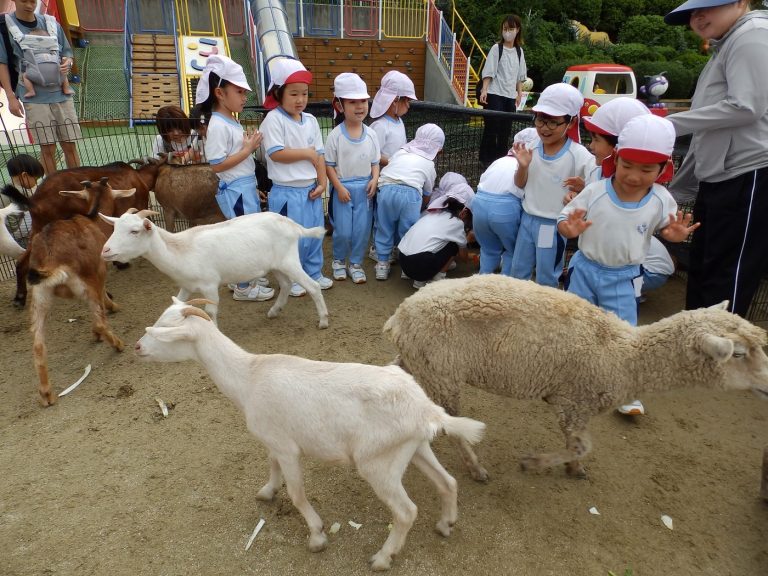 こども動物園　⑯　たけ組