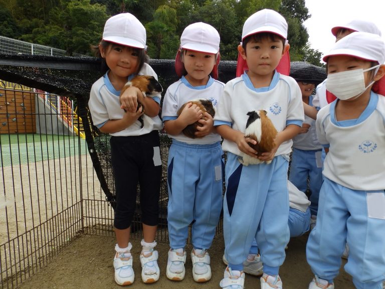 こども動物園　⑰　たけ組