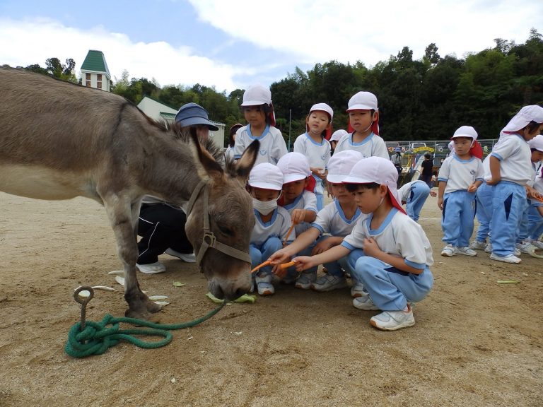 こども動物園　⑲　たけ組