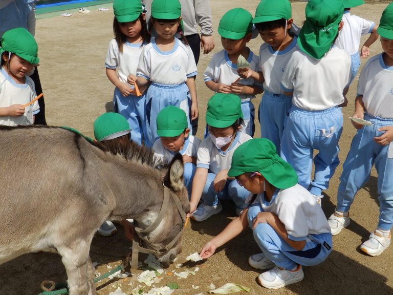 こども動物園　②　すみれ組