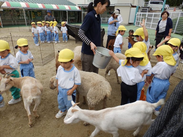こども動物園　㉒　年少組