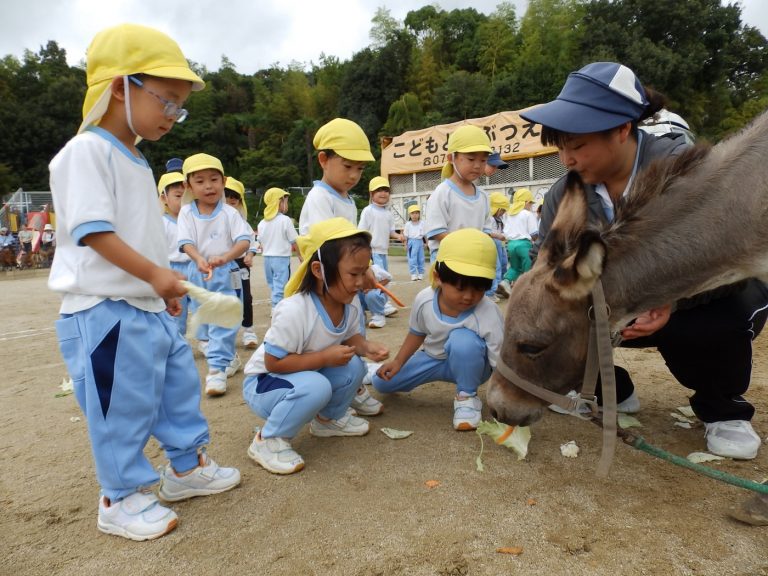 こども動物園　㉕　年少組
