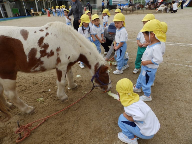 こども動物園　㉖　年少組