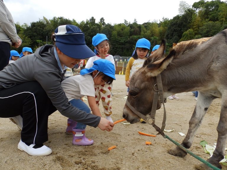 こども動物園　㉘　もも組