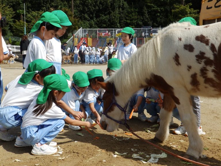 こども動物園　③　すみれ組