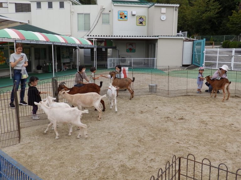 こども動物園　㉛　未就園児教室