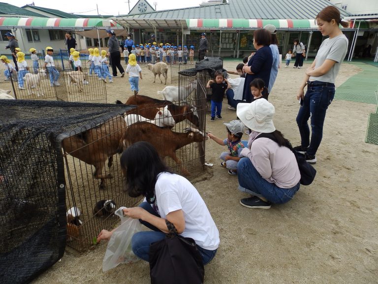 こども動物園　㉛　未就園児教室