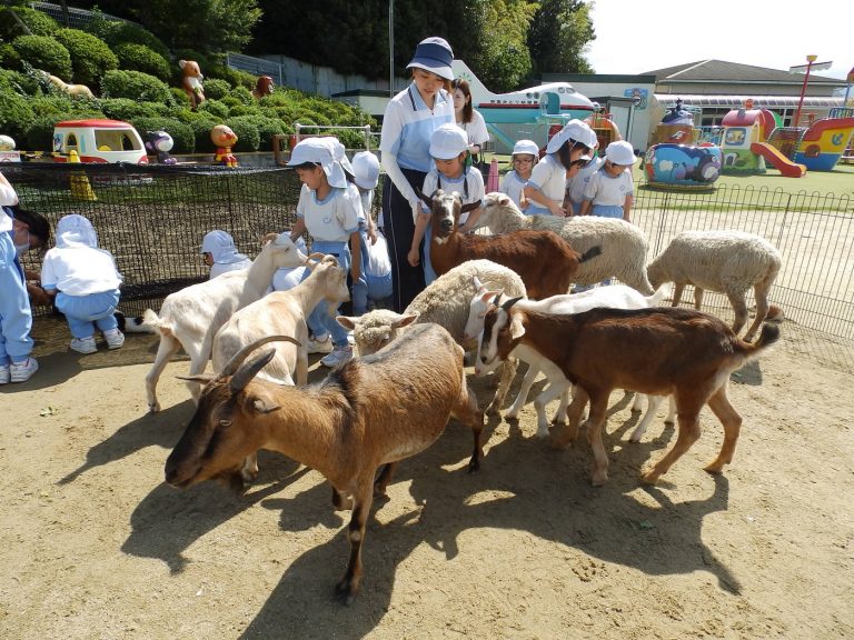 こども動物園　⑦　れんげ組