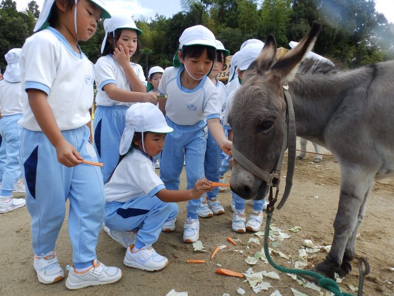 こども動物園　⑧　れんげ組