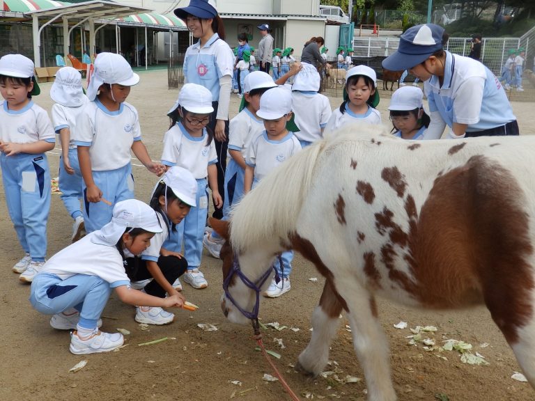 こども動物園　⑨　れんげ組