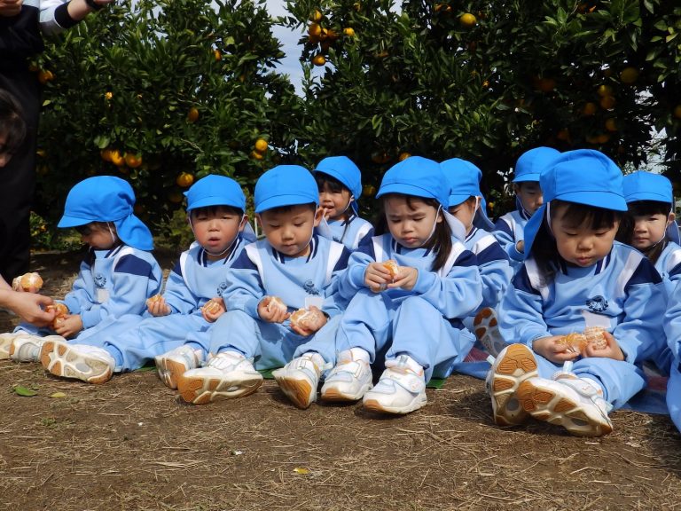 みかん狩り　⑭　もも組