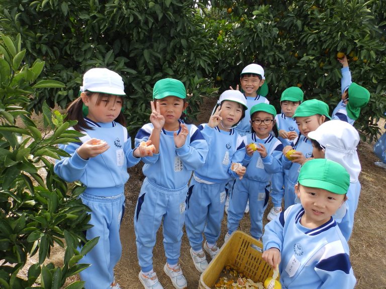 みかん狩り　㉔　年長組