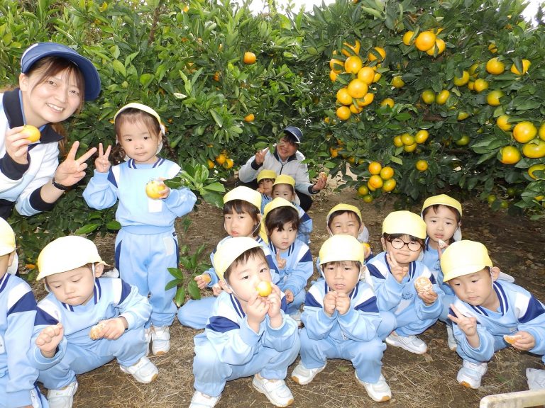 みかん狩り　⑨　年少組