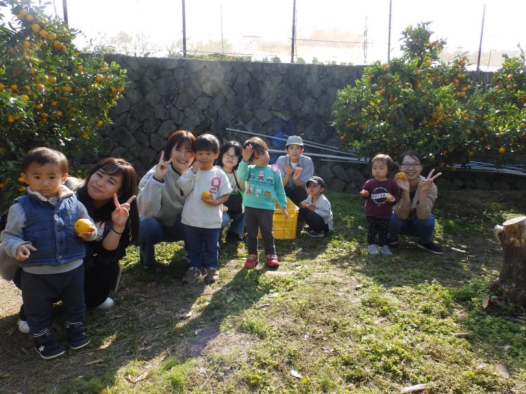 ふたば・いちご教室　⑰　みかん狩り
